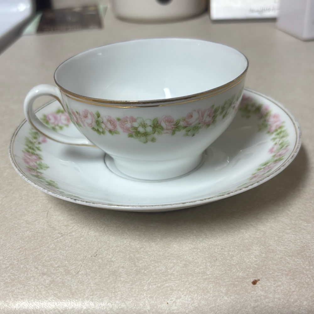 Rosedale cup and saucer by TIRSCHENREUTH
-Discontinued piece- from Germany
